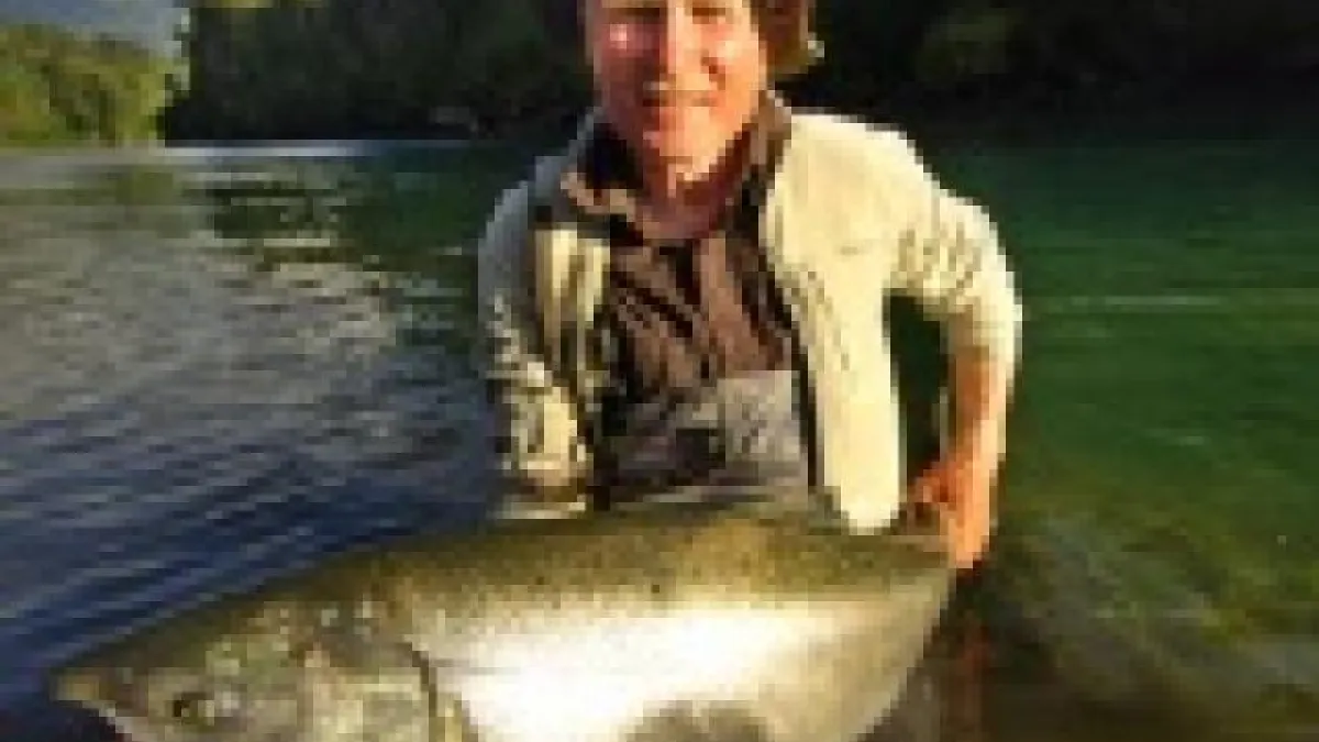 FISH & CHIPS ou comment pêcher les gros poissons