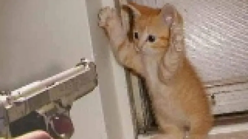 Un joueur de poker échappe à un double braquage !