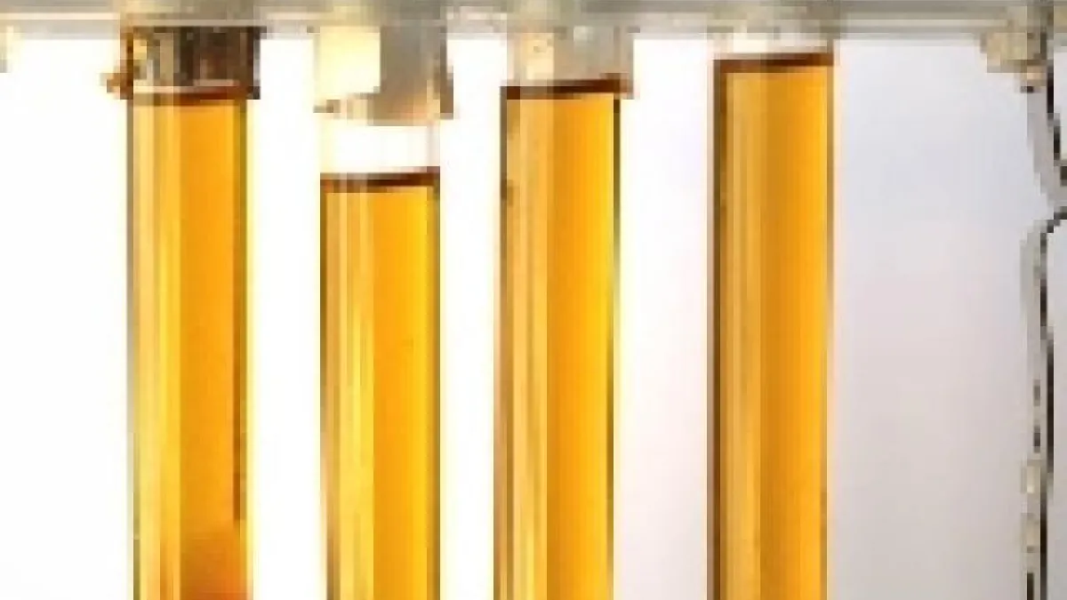 L'importance de la taille de l'échantillon de mains au poker