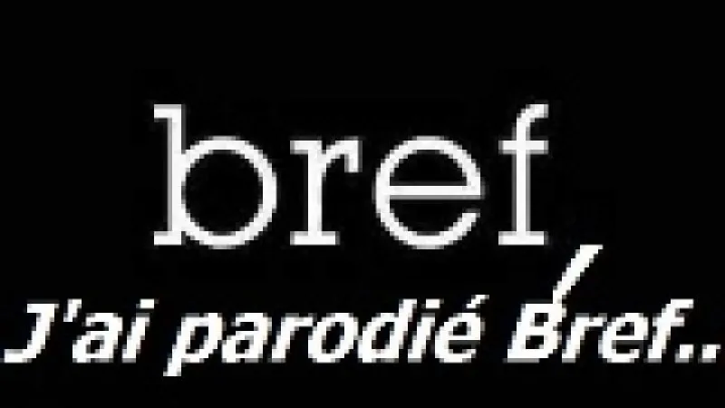 Vidéos décalées : Nicoflamingo parodie la série Bref