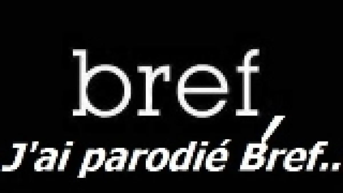 Vidéos décalées : Nicoflamingo parodie la série Bref