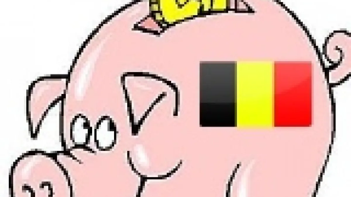 Poker et Fiscalité : Au tour des joueurs belges ?