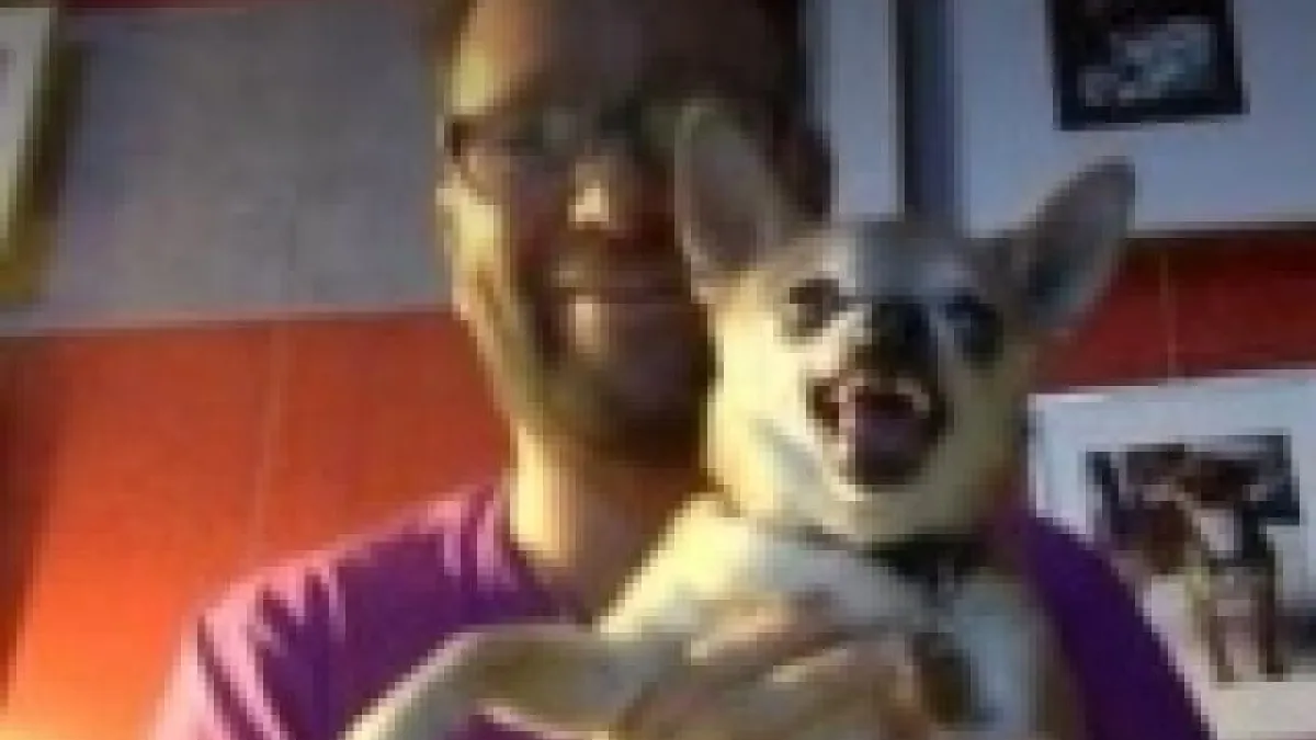 Daniel Negreanu sur Twitch : Entre succès et polémiques