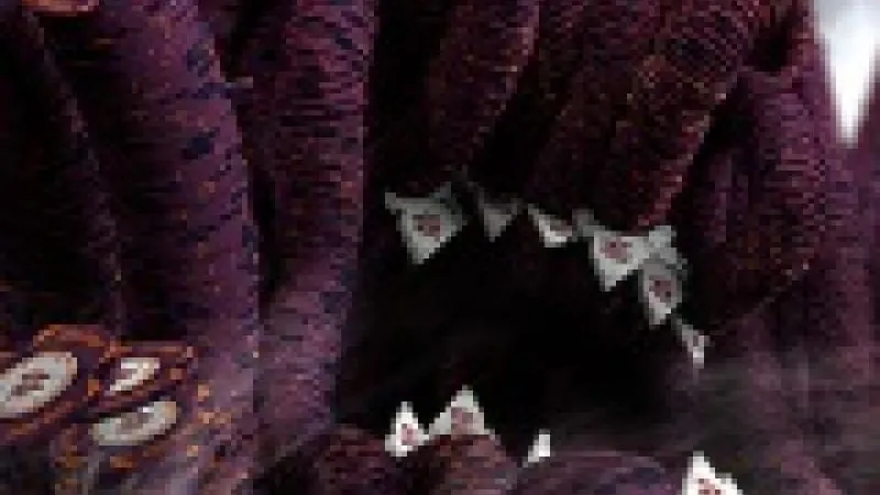 Les tournois Monster Stack débarquent sur Winamax