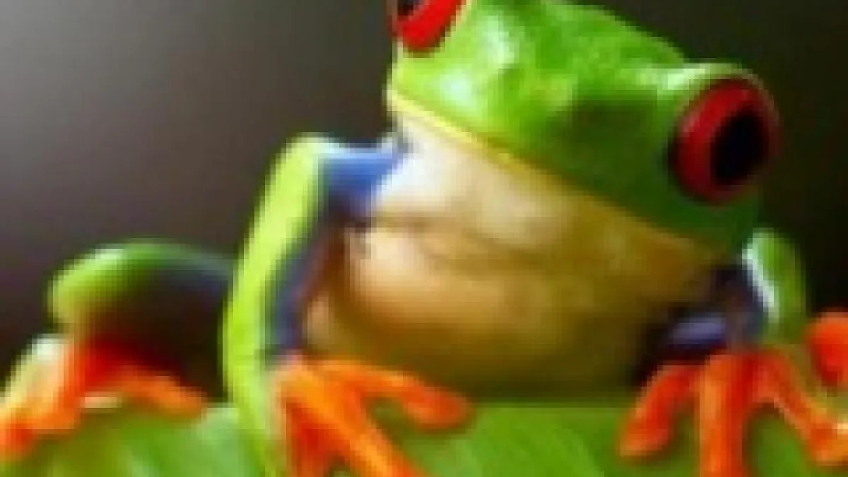 La prise de note en MTT : Kojacx121 deeprun le digestif de Winamax (2/2)