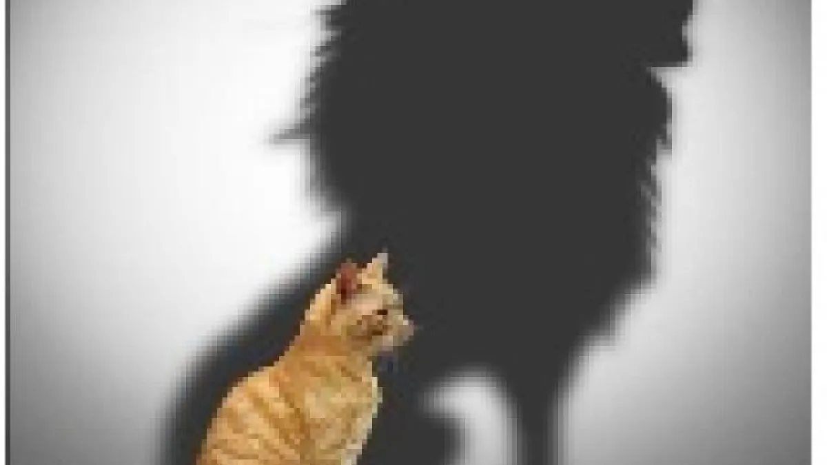 Poker Management System : Révèle ton potentiel au maximum !