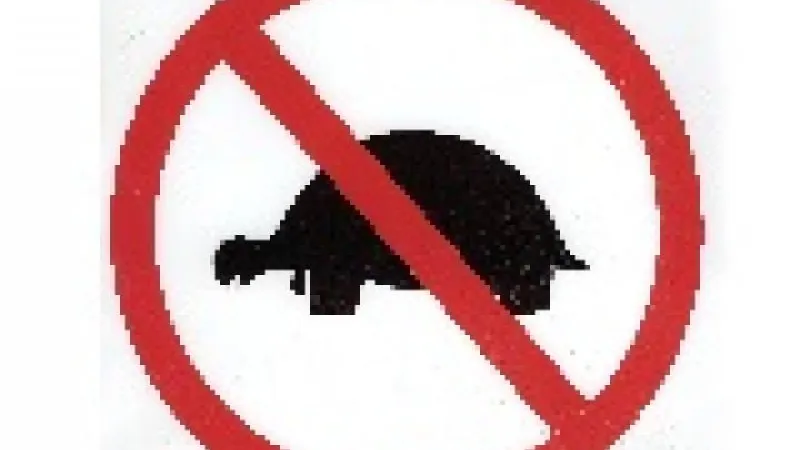 Gaëlle Baumann se penche sur le tanking en tournoi