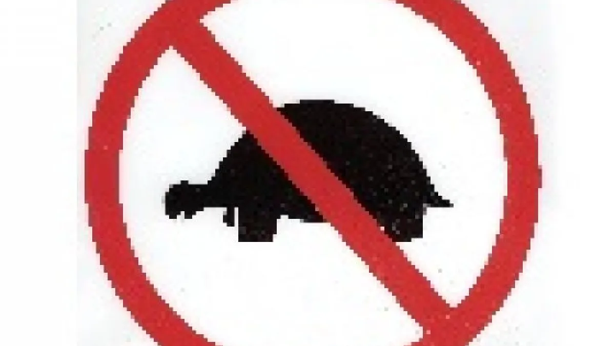 Gaëlle Baumann se penche sur le tanking en tournoi