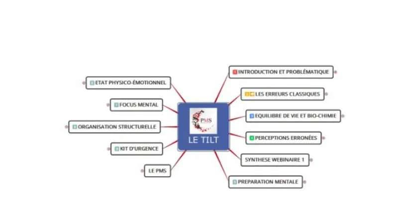 [Replay] Le webinaire d'Askinanich - La gestion du tilt partie 1