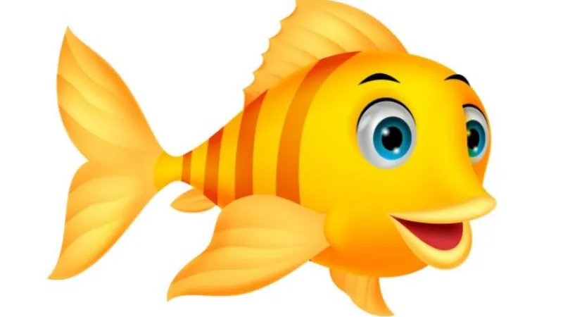 Comment jouer les fields full récréatifs sur PMU Poker ? Partie 6