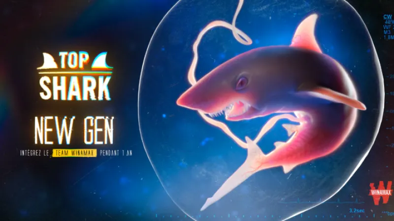 Top Shark Academy 2021 : Futur top shark ?