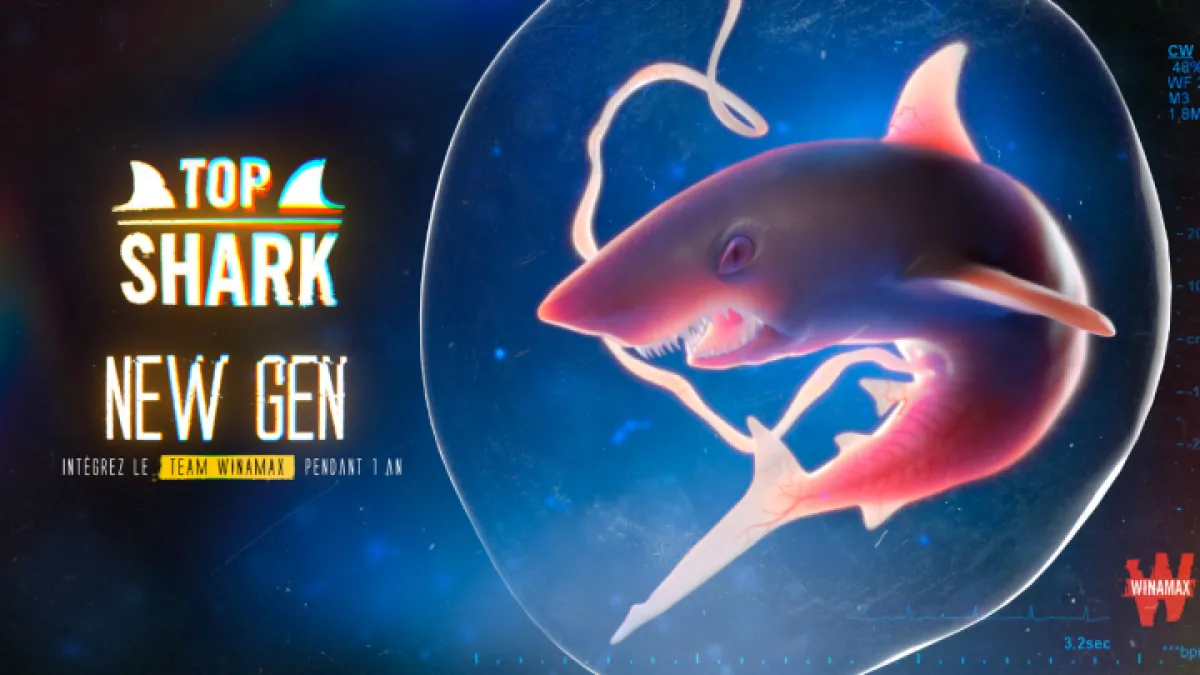 Top Shark Academy 2021 : Futur top shark ?