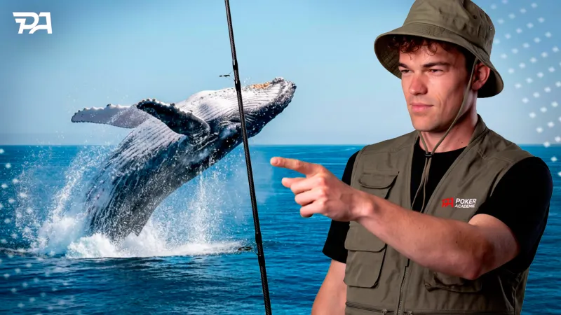 AlexRTS essaie d'attraper un petit poisson et une belle baleine en NL1000 - Partie 1
